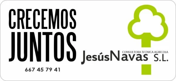 Imagen 7